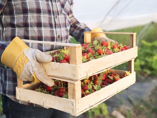ROZHOVOR Nazbierajte si plný