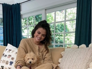 Selena sa momentálne sústredí