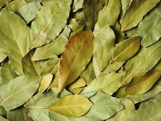 Silu bobkového listu odhalia