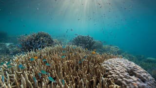 Tip na seriál: Dokumentárny