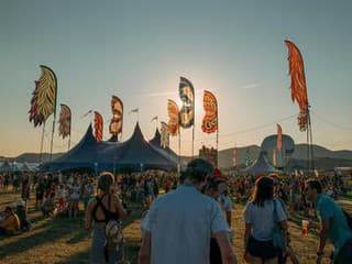 Pohoda on the Ground