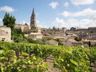 Víno, Bordeaux a krásna