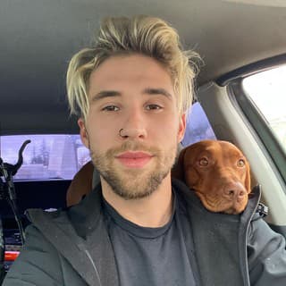 Je potetované telo a