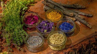 Bylinkárka v ROZHOVORE prezradila,