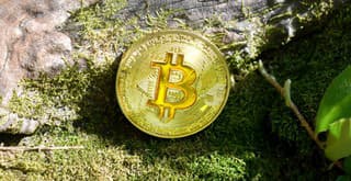 Krypto a ekológia: Zistili