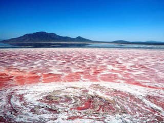 Sodné jazero (Lake Natron),