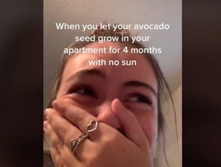 VIDEO Dievčina nechala semienko
