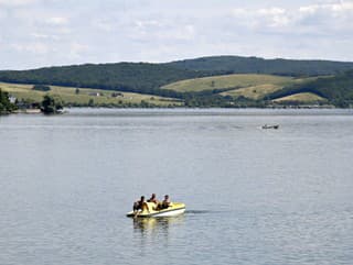 Domša
