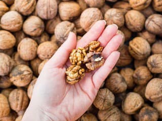 Nevídaná sila pochúťky na