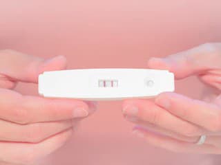 Chuť na omietku či