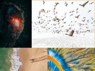 Najkrajšie FOTO roka: Na