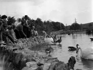 Historická fotografia bratislavskej Zoo