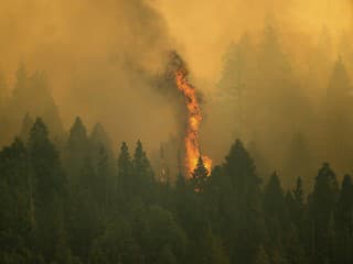Obrovské požiare v Kalifornii