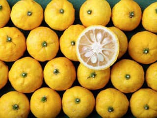 OVOCIE, ktoré vám zlepší