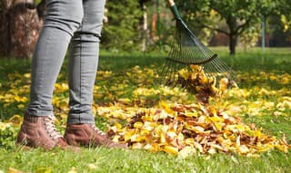 Ako využiť opadané lístie