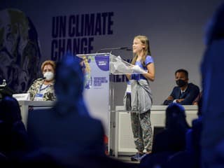 Švédska klimatická aktivistka Greta