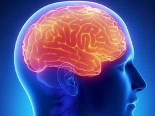 Implantát v mozgu realitou: