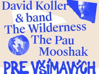 Na Koncerte pre všímavých