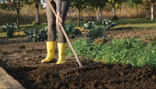 Ako pripraviť záhradu na