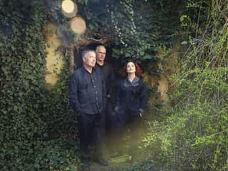 Album Cela bol etapová