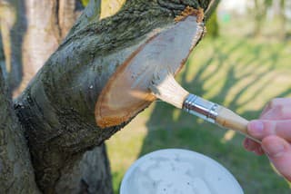 Päť tipov, ako pred