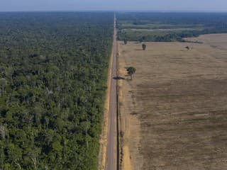 Odlesňovanie Amazonského pralesa v