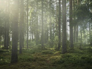 Viete, koľko toaletného papiera