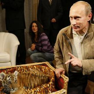Putinova tigrica priviedla na
