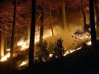 Lesný požiar na Kysuciach
