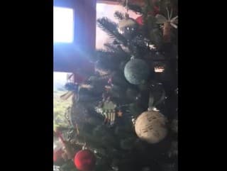 VIDEO Rodičia zdobili vianočný