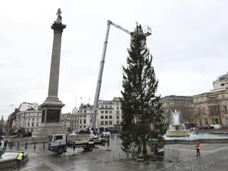 Vianočný strom na Trafalgarskom