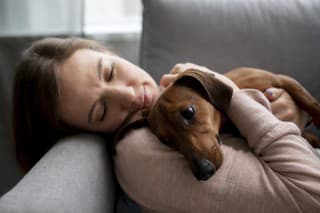 Rozprávate sa s vaším