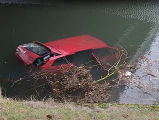 VIDEO Kuriózny policajný zásah: