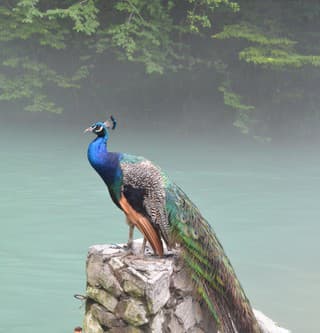 Nad Piešťanmi sa mal