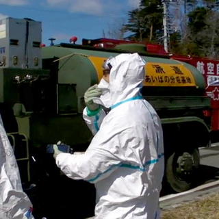 Vo Fukušime majú rádioaktívne