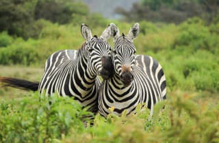 KVÍZ Ukáž, čo všetko