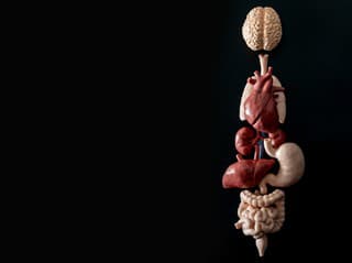 Je dátum narodenia NEPODSTATNÝ?