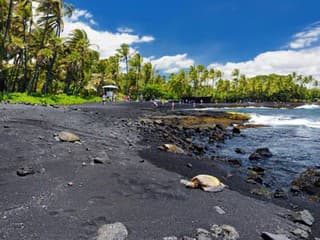Pláž Punaluu, Havaj, USA