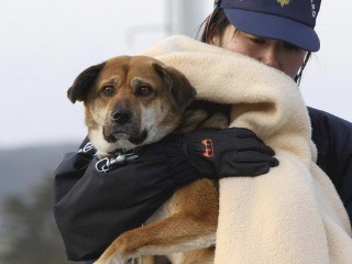 Pobrežná stráž zachránila psíka