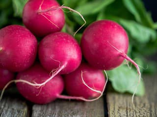 O tomto vie málokto: