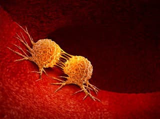 ZMIZÍK na poškodené BUNKY