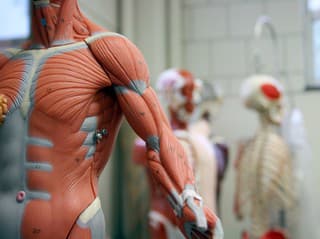 KVÍZ o ľudskom tele,