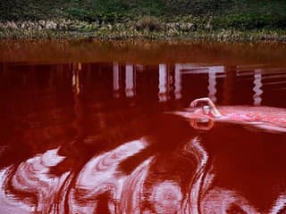 Jazero vo Vilniuse sa