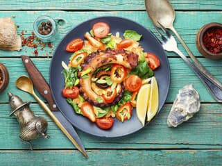 MORSKÝ chameleón na tanieri