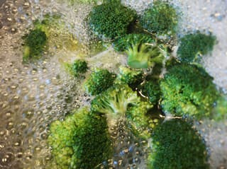 Vplyv VARENIA na ZELENINU: