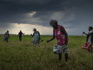 Najlepší príbeh roka: Zachraňovanie