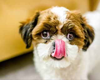 Len málokto kŕmi svojho