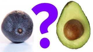 VIDEOTIP Ako rozpoznať kedy