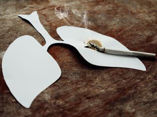 ZÁHADA vyriešená: Pravý DÔVOD,