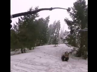 Neuveriteľné VIDEO: Pri frekventovanom